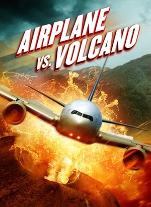 Airplane vs. Volcano (2014) Hindi Dual Audio 300MB