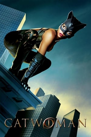 Catwoman (2004) Hindi Dual Audio 400MB
