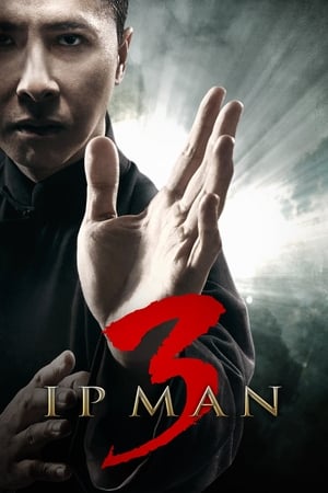 Ip Man 3 (2015) Hindi Dual Audio [900MB]