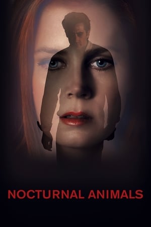 Nocturnal Animals (2016) Hindi Dual Audio [1GB]