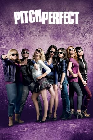 Pitch Perfect (2012) Hindi Dual Audio [950MB]