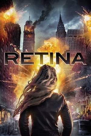 Retina 2017 Hindi Dual Audio 300MB