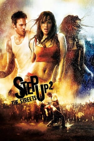 Step Up 2 The Streets 2008 Hindi Dual Audio 300MB