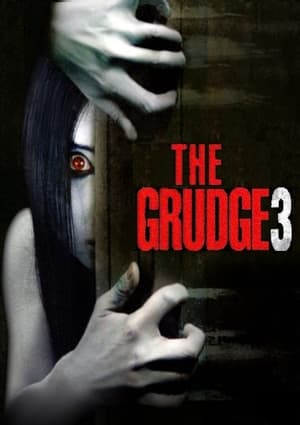 The Grudge 3 2009 Hindi Dual Audio 300MB
